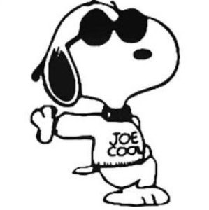 Meet your Posher, Irving